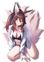 fugue (honkai: star rail) from honkai: star rail