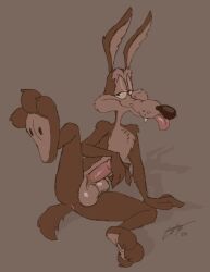 wile e. coyote from looney tunes by bogtrom