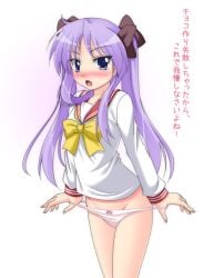 hiiragi kagami from lucky star by narutaki shin