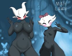 fan character from hollow knight by mah lawn