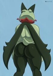 generation 9 pokemon from nintendo by pancarta
