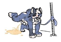 all_fours anthro backboned_(artist) bodily_fluids bone_in_mouth canid canine canis chastity_cage chastity_device domestic_dog fur genital_fluids leash leashed_male male mammal multicolored_body multicolored_fur outdoor_pee peeing peeing_on_ground raised_leg raised_leg_pee solo tail toy_in_mouth urinating urinating_male urination urine urine_stream watersports