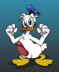 disney donald_duck ekuhvielle male_only penis tagme