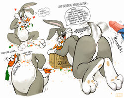 anthro anus ass bugs_bunny fur furry gay hindpaw looney_tunes male male_only mammal pawpads paws penis presenting rabbit rand_(furry_artist) tagme yaoi