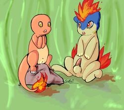 2012 charmander color female fire fur furry interspecies male nintendo nude outdoors pokémon_(species) pokemon pokemon_(species) pokemon_gsc pokemon_rgby quilava rock snofu tail tail_fire vulva