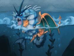 adiago charizard gyarados magikarp nintendo pokemon pokemon_(species) smooth_skin tagme