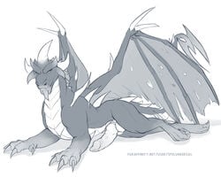 dragon male malefor penis spyro_the_dragon tagme