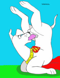 feral krypto krypto_the_superdog male_only tagme tbfm