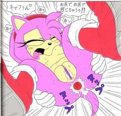 amy_rose anal anal_sex anthro anus artist_request ass exposed_torso female footwear fur furry gaping handwear handwear_and_footwear_only hedgehog pink_fur pink_hair pussy pussy_juice recolor sega sonic_(series) straight_hair tail translated uncensored wet_pussy