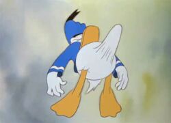 1male animated avian bill_(anatomy) bottomless bouncing disney donald_duck duck erection gif male_only sailor_hat tagme thrusting_forward thrusting_hips what white_feathers