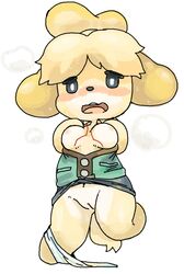 2017 animal_crossing blonde_hair breasts canine furry isabelle_(animal_crossing) nintendo nipples noriburu panties pussy short_hair