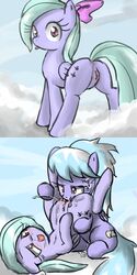 cloud_chaser_(mlp) flitter friendship_is_magic my_little_pony sirachanotsauce