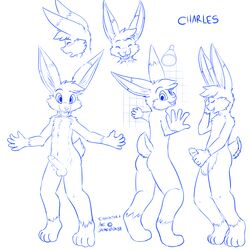 1boy 2013 anthro ass balls blush cute erection fur furry hair jamesfoxbr lagomorph lapine looking_at_viewer male male_only monochrome nude open_mouth penis plain_background presenting rabbit shower smile solo standing teeth