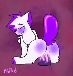 animated ass crystal_(kittydogcrystal) dildo furry furry_only kittydog_(species) kittydogcrystal no_sound tagme video