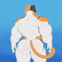 1boy bubble_butt catboy feline furry gay male_only meowscles_(fortnite) muscular muscular_male orange_spots tail_on_ass turned_around yamwamm