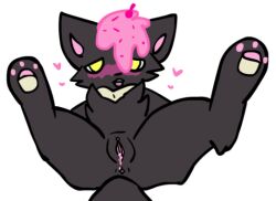 cupcake_(kittydogcrystal) female furry furry_only kittydogcrystal pussy vagina wet_pussy