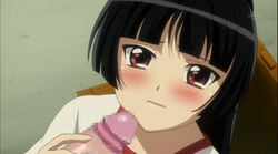 1boy 1girls black_hair blush brown_eyes censored duo erection female handjob imminent_sex jewelpet jewelpet_sunshine long_hair looking_at_viewer male mizushiro_kanon penis sanrio