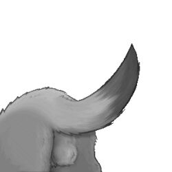 alpha_channel animated ass balls canid canine fur genitals grey_body grey_fur low_res male mammal multicolored_body multicolored_fur resachii sachii_(resachii) shaking_butt simple_background solo transparent_background two_tone_body two_tone_fur