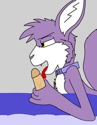 grape_jelly_(housepets!) housepets! purple_fur random_anon tagme webcomic