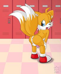 anus ass bent_over canine color fox fur furry_tail indoors male male_only multiple_tails nude penis raukue solo sonic_(series) sonic_the_hedgehog_(series) sonic_the_hedgehog_2 tagme tail tails testicles