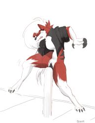 absurd_res cressalias generation_7_pokemon genitals hi_res lycanroc male nintendo no_humans pain pokemon pokemon_(species) pokemorph pussy