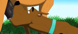 scooby-doo (character) from cartoon network by dangerdoberman