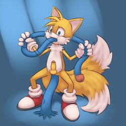 all_the_way_through anal anthro balls canine fox fur male male_only mammal penis sega shoes solo_focus sonic_(series) supremekitten tails tentacle