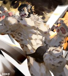 1boy anthro bulge claws clothed clothing erection erection_under_clothing felid fur genital_outline male male_only mammal muscular nipples open_mouth pantherine penis_outline skimpy snow_leopard solo speedo swimwear teeth white_body white_fur yuntian zong_wumi