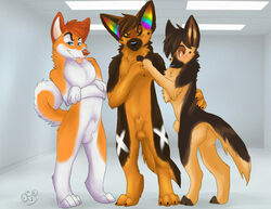 2012 anthro anthro_only balls blondefoxy blush canine colorful male nude pride_colors rainbow sheath