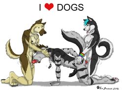 2012 ace_stryker anal anthro beard brown_hair canine dog_tags doggy_style fellatio from_behind fur furry furry_only gay german_shepherd hair husky male no_humans oral oral_sex panting penis piercing sex spitroast wolf