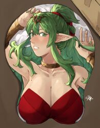 breasts female female_only fire_emblem fire_emblem_awakening high-angle_view looking_at_viewer more_at_source nintendo pointy_ears sakuremi solo tiki_(adult)_(fire_emblem) tiki_(fire_emblem)