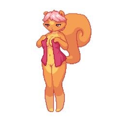 animated big_breasts bottomless breast_squish breasts covering_breasts female furry joe_randel long_tail nude pink_hair pixel pixel_art pussy rodent solo squirrel tagme tail towel vagina white_background