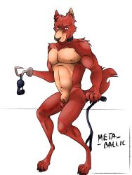 foxy (fnaf) from five nights at freddy's