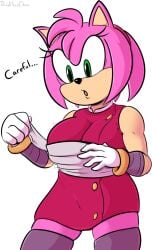 amy_rose amy_rose_(boom) davidsanchan female furry sonic_(series) sonic_boom wrapped wrappings