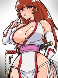 arm_guards breasts brown_hair dead_or_alive female highres kasumi_(doa) large_breasts long_hair ninja revealing_clothes solo sword terrybrogard weapon