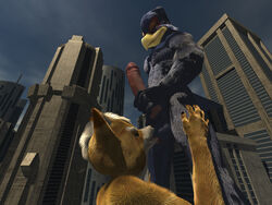 3d avian balls canine falco_lombardi fox_mccloud furry imago macro male multiple_males nintendo star_fox video_games yaoi