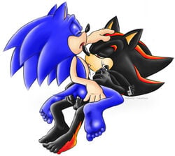 shadow the hedgehog from sega by fakerface