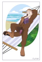 anthro beach book flaccid floyote genital_piercing genitals hammock hi_res male mammal mustelid otter pawpads paws penis penis_piercing piercing prince_albert_piercing raised_arm reading reading_book reclining sea_otter solo