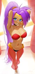 blue_eyes breasts female female_only looking_at_viewer purple_hair revenantart shantae shantae_(character) solo