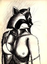 anthro armendariz black_and_white breasts female hair monochrome nipples plain plain_background raccoon smile solo underwear