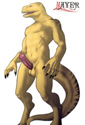 1boy 2012 balls lizard male male_only mayer_(artist) penis random reptile scalie solo yellow