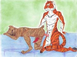 2boys anal anthro ass barbs brindle canine erection feline fur furry gay growing karja knot largo male male_only maroon nipples nude original_character penis sex siberian smile stripes tail testicles tiger tongue