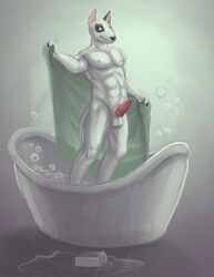 anthro balls bath bubbles canine erection fur furry knot male_only muscles peable penis soap thestory towel