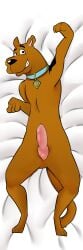 2023 absurd_res animal_genitalia animal_penis brown_body canid canine canine_genitalia canine_penis canis collar commission dakimakura_design digital_media_(artwork) domestic_dog feral feral_only genitals great_dane grin hanna-barbera hi_res knot male mammal markings mastiff molosser oumseven penis scooby-doo scooby-doo_(character) scooby-doo_(series) simple_background smile solo teasing uncensored