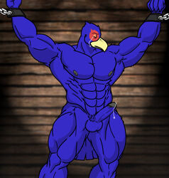 abs anthro armpits avian bondage bound captured closed_eyes closed_mouth color cum erection falco_lombardi front_view male male_only muscles nipples nude pecs penis pheasant precum pubic_hair sad solo star_fox tear tied video_games wolfoxokamichan