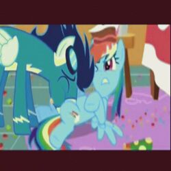 animal animated blue cake eating equine eyewear friendship_is_magic glasses horse lying my_little_pony pie pony pussy rainbow_dash_(mlp) spread_legs spreading straight_hair wings wonderbolts_(mlp)