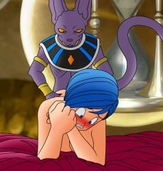 animal_humanoid beerus blue_hair blush bulma_briefs cat_humanoid doggy_style domestic_cat dragon_ball dragon_ball_super duo felid felid_humanoid feline feline_humanoid felis female from_behind_position hair hairless hairless_cat hi_res human humanoid male male/female mammal mammal_humanoid nude setthh98 sex short_hair sphynx_(cat)