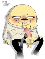 adventure_time after_sex canine canine_penis jake_the_dog large_penis large_testicles male male_only muttgirl penis solo tie