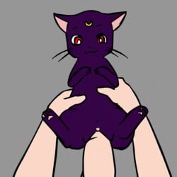 animated aogami bishoujo_senshi_sailor_moon cat female luna_(sailor_moon) male nekojiro uncensored zoophilia