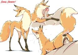 absurd_res animal_genitalia animal_pussy animal_vulva anus ass balls blush bodily_fluids canid canine canine_genitalia canine_pussy canine_vulva canis digital_media_(artwork) duo erection etheross female female_penetrated feral feral_frenzy feral_penetrated fluffy fluffy_tail fox fur genital_fluids genitals hi_res human human_on_feral human_penetrating human_penetrating_feral interspecies licking male male/female male_on_feral male_penetrating male_penetrating_female mammal nirah_(feral_frenzy) nude on_bottom on_top open_mouth oral penetration penile penile_penetration penis penis_in_vagina penis_lick pussy reverse_cowgirl_position saliva sex simple_background tail teeth tongue unseen_male_face vaginal_penetration vulva white_background zoophilia